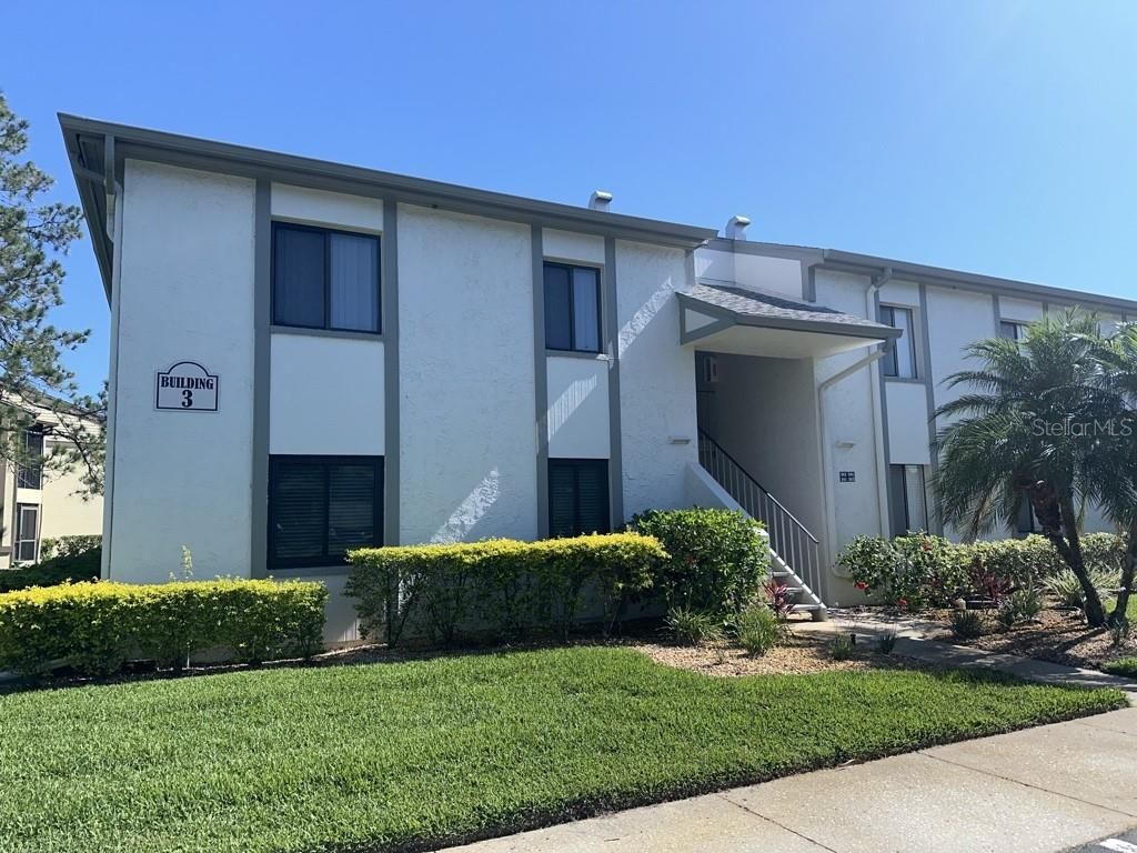 Photo of 261 Cypress Lane, Oldsmar, FL 34677 (MLS # TB8442536)