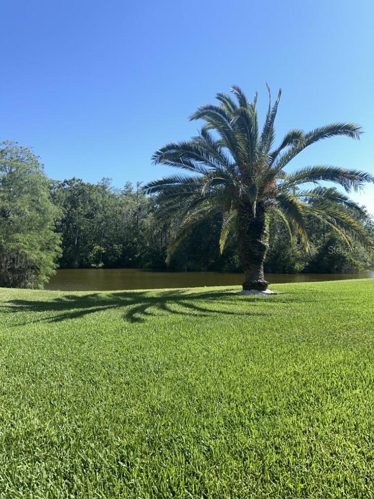 EAST LAKE WOODLANDS CYPRESS ESTATES - Residential Lease