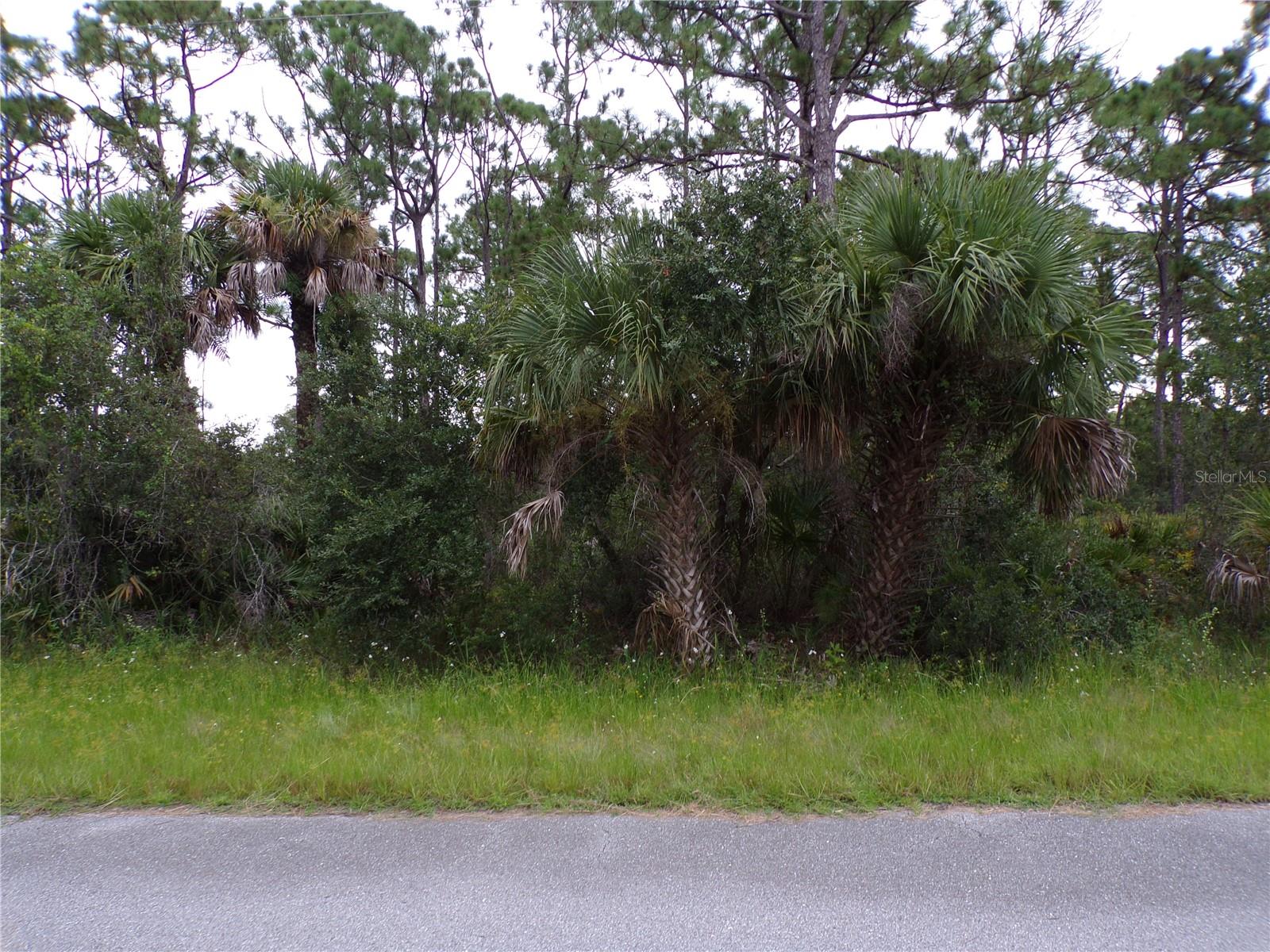 This lot is on a quiet street, that would be a great place to build your dream home and retire or raise your family. The adjoining lot is also so availible and listed separatley. If you were to choose to buy both lots you would have just under 1/2 Acre to build on. Less than 9 miles to I75 makes this location an easy commute to almost anywhere, and only 16 miles to Chadwick Park at Englewood Beach with amazing sunsets, 12 miles to South Englewood with lots of shopping and dining options. Tampa Bay Rays spring training and the fairgrounds are just minutes away, also multiple golf courses and some of the best boating and fishing in all of Florida. Red Soxs, Orioles, Twins and Braves spring training all within an hour’s drive. Buyer and buyers’ reps are responsible for determining environmental conditions and endangered species restrictions. This lot is priced to sell so please call for availability! This lot is at a great price point for the investor call today.