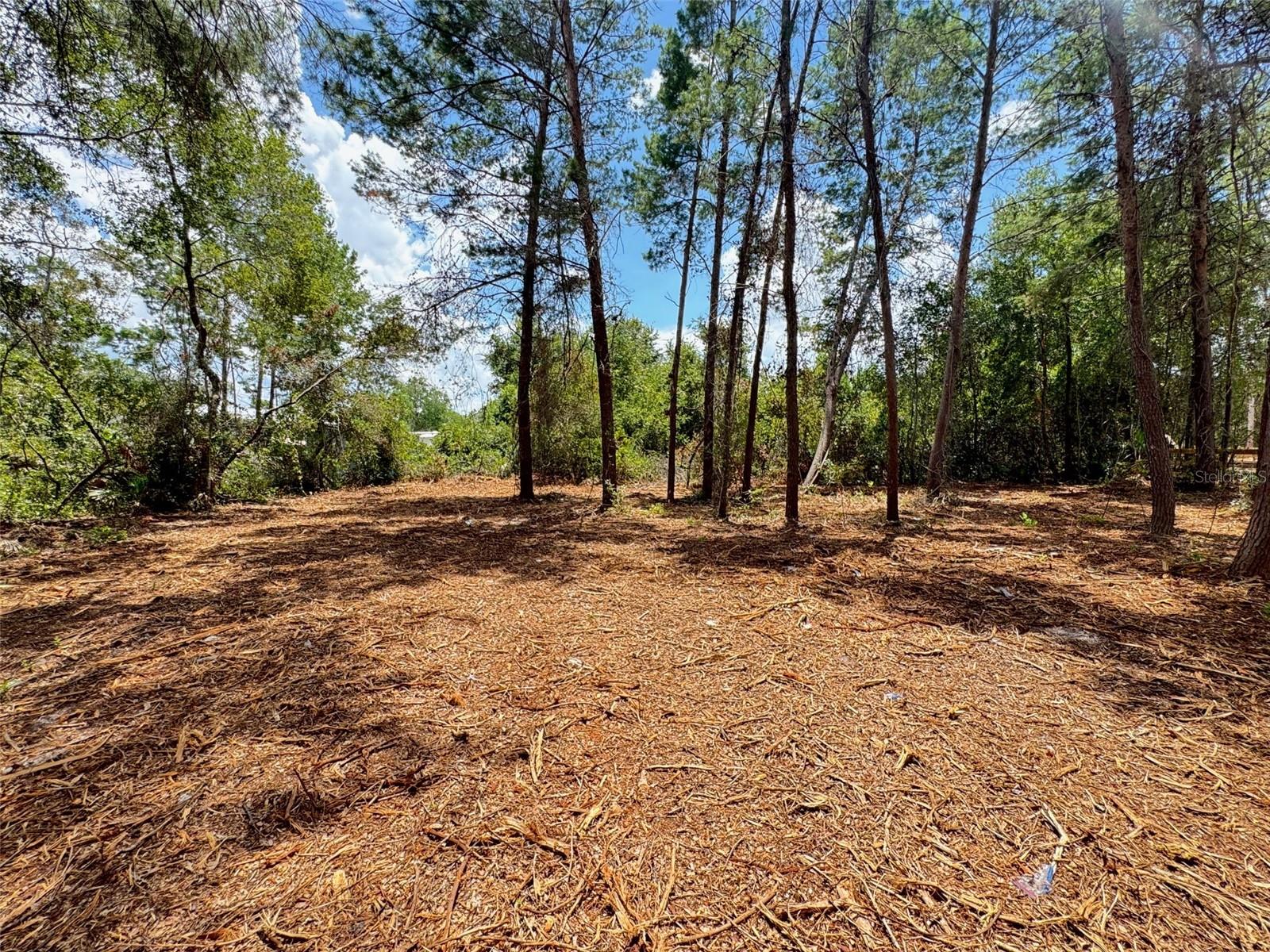 LAKE KATHRYN HEIGHTS REP - Land