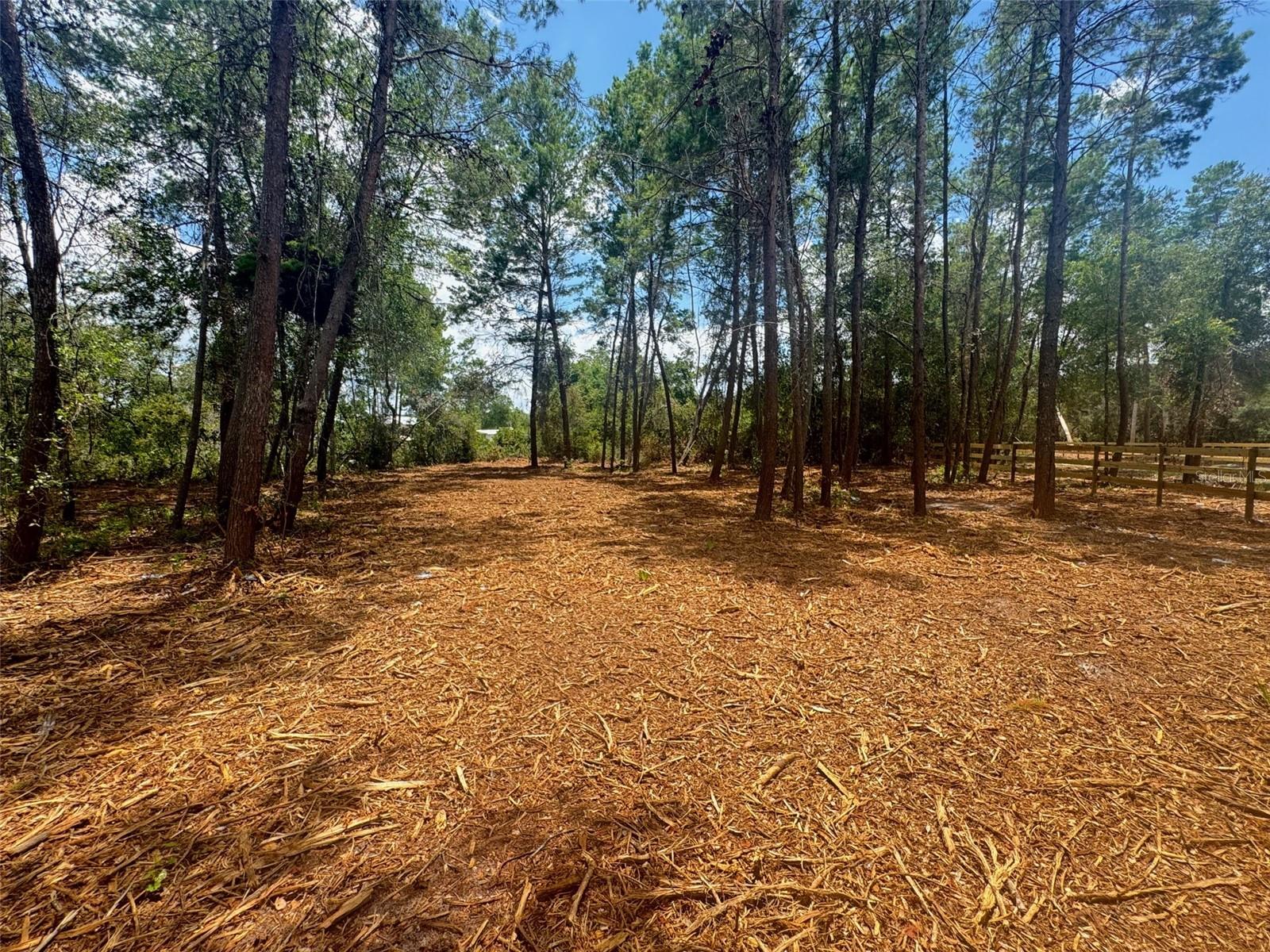 LAKE KATHRYN HEIGHTS REP - Land