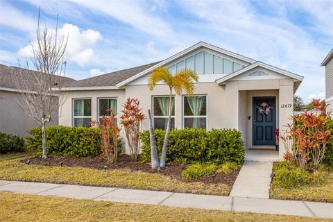 12619 HAMMOCK PARK DRIVE RIVERVIEW FL 33579