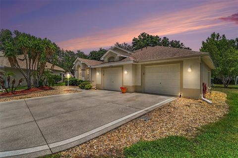 Tiny photo for 2852 Cape Horn Court, Tavares, FL 32778 (MLS # G5114125)