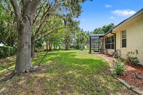 Tiny photo for 2852 Cape Horn Court, Tavares, FL 32778 (MLS # G5114125)