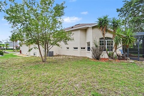 Tiny photo for 2852 Cape Horn Court, Tavares, FL 32778 (MLS # G5114125)
