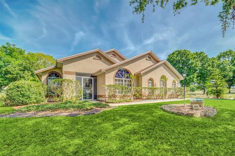 Tiny photo for 16610 Majestic Court, Clermont, FL 34711 (MLS # O6393386)