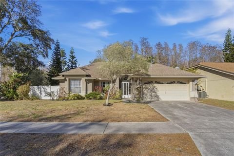 Photo of 4874 Mill Run Drive, New Port Richey, FL 34653 (MLS # W7882672)