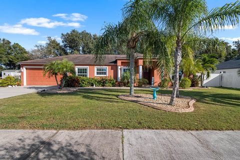 Photo of 6702 Clair Shore Drive, Apollo Beach, FL 33572 (MLS # TB8444165)
