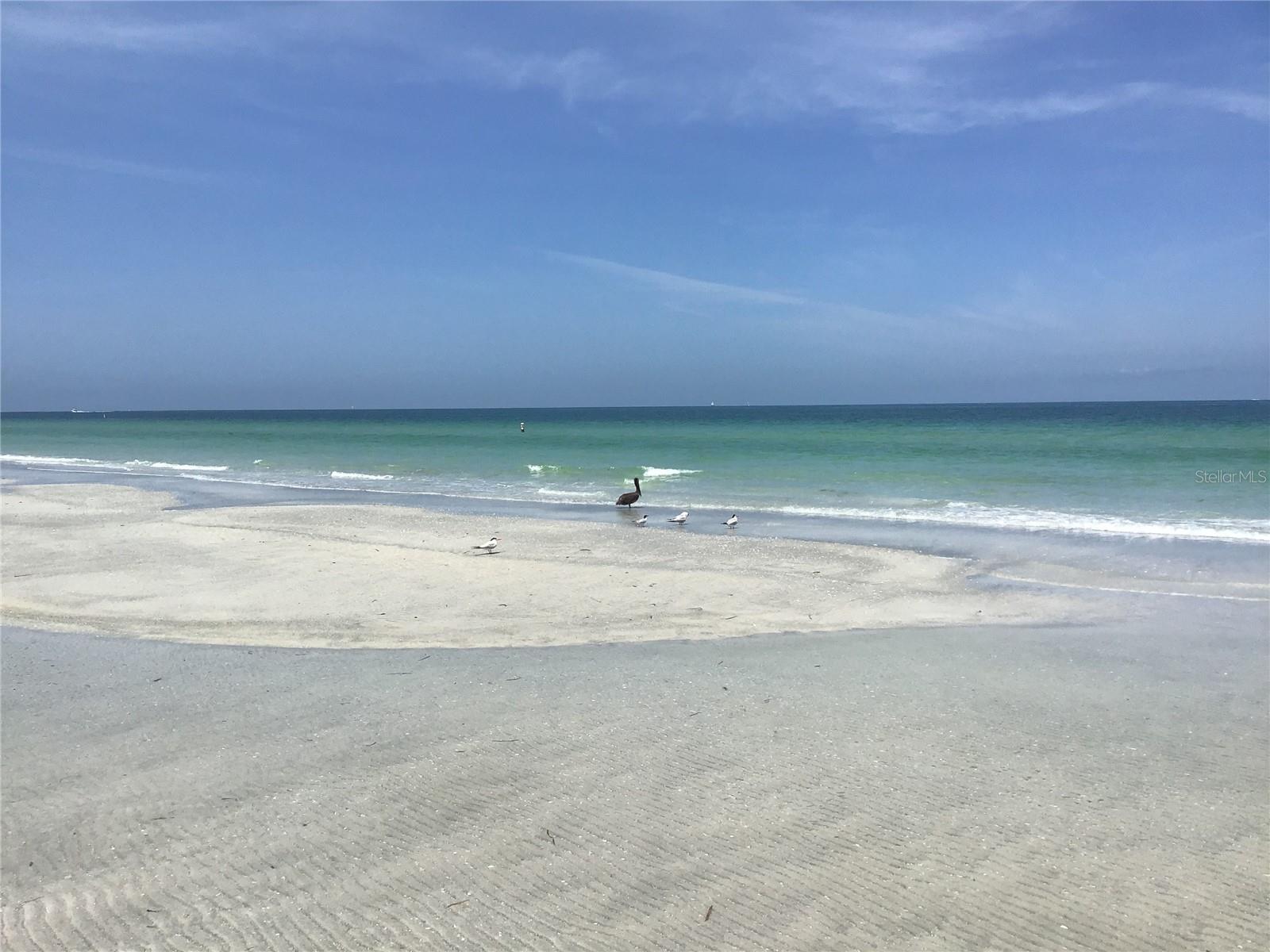 GULF BELLEAIR BEACH CONDO - Residential Lease