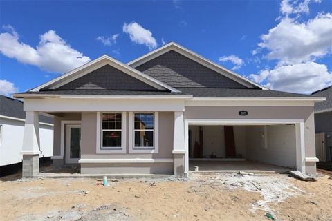 Photo of 357 Lady Palm Street, Apopka, FL 32703 (MLS # O6342533)