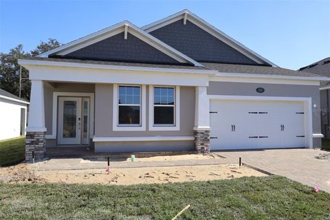 Photo of 357 Lady Palm Street, Apopka, FL 32703 (MLS # O6342533)