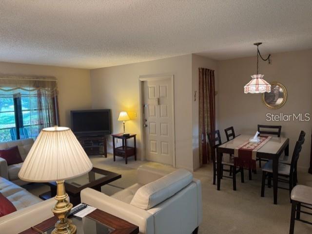 PINE RIDGE AT LAKE TARPON VILLAGE - Residential