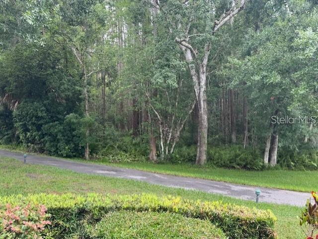 PINE RIDGE AT LAKE TARPON VILLAGE - Residential