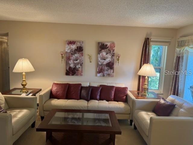 PINE RIDGE AT LAKE TARPON VILLAGE - Residential