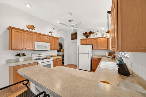 Tiny photo for 1743 Oconee Place, The Villages, FL 32162 (MLS # G5119257)