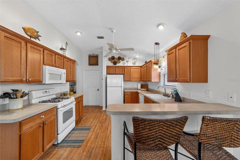 Tiny photo for 1743 Oconee Place, The Villages, FL 32162 (MLS # G5119257)