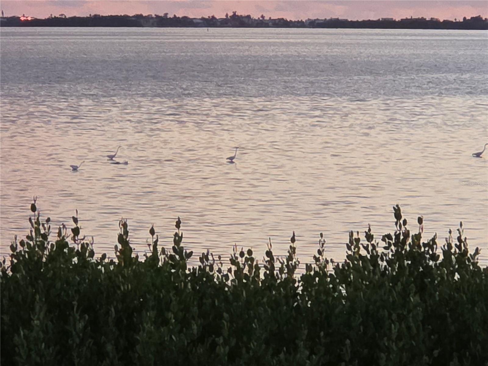 BAYSIDE TERRACES AT WILD OAK BAY III-V - Residential
