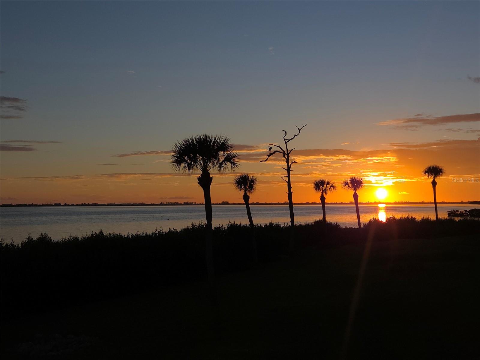BAYSIDE TERRACES AT WILD OAK BAY III-V - Residential