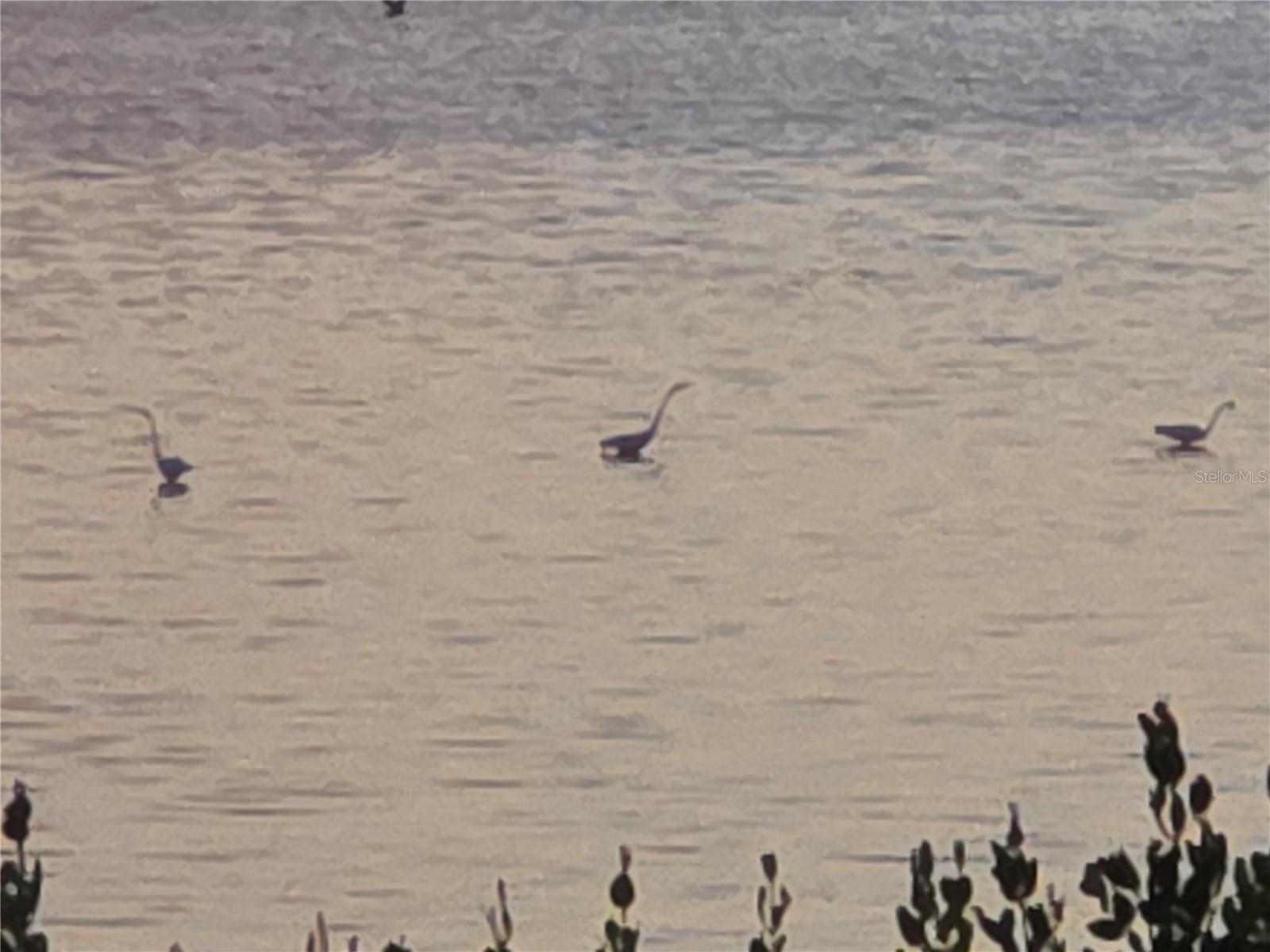 BAYSIDE TERRACES AT WILD OAK BAY III-V - Residential