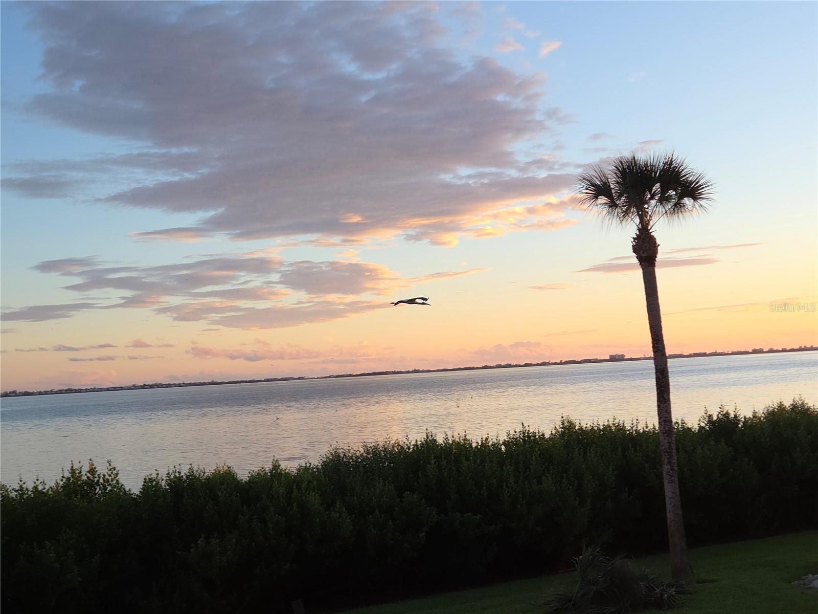 BAYSIDE TERRACES AT WILD OAK BAY III-V - Residential