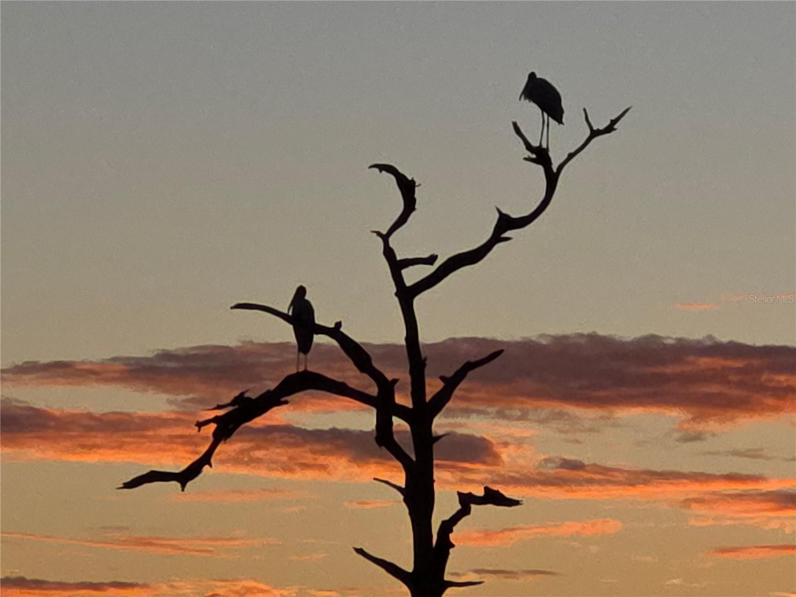 BAYSIDE TERRACES AT WILD OAK BAY III-V - Residential