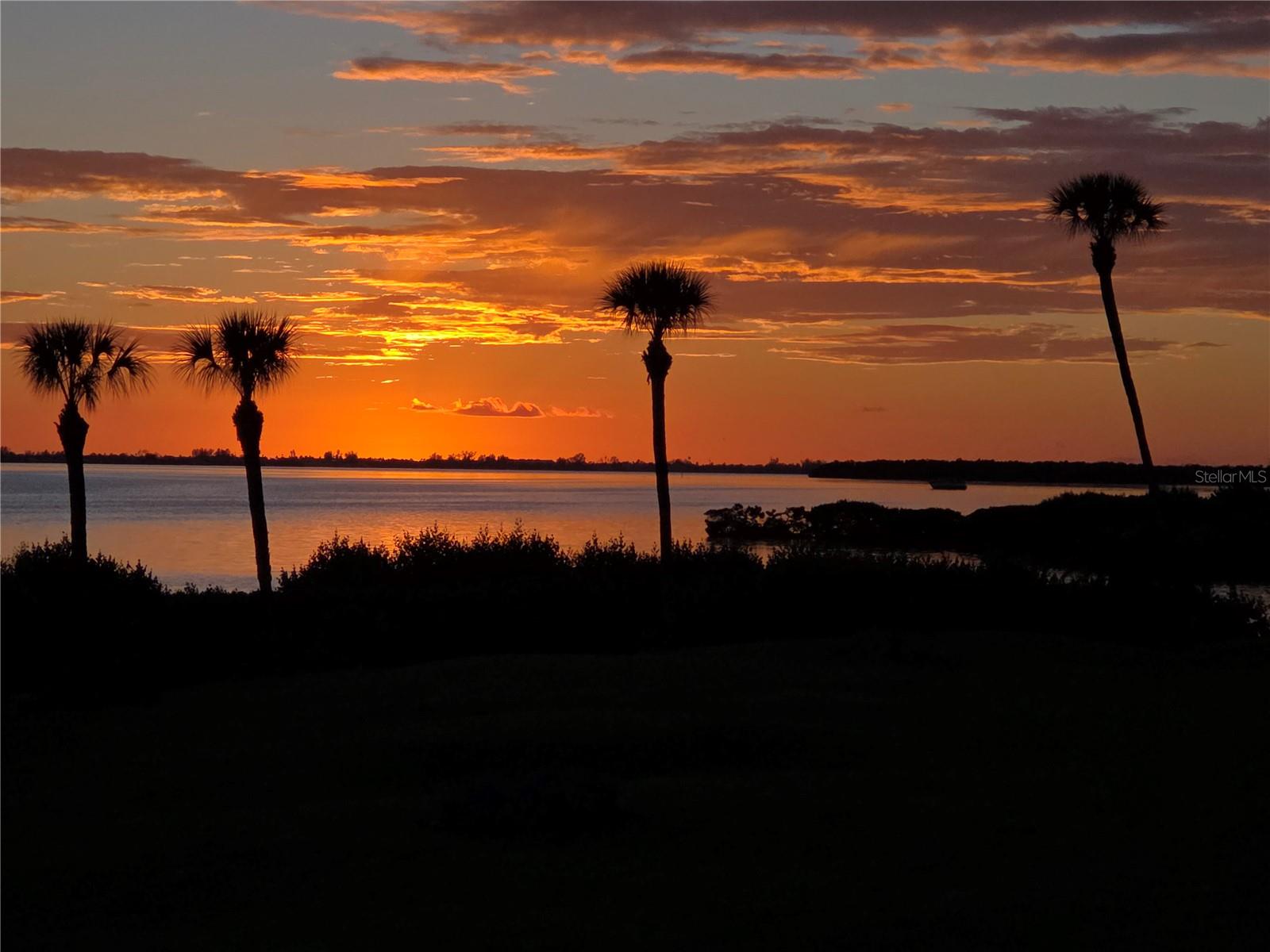 BAYSIDE TERRACES AT WILD OAK BAY III-V - Residential