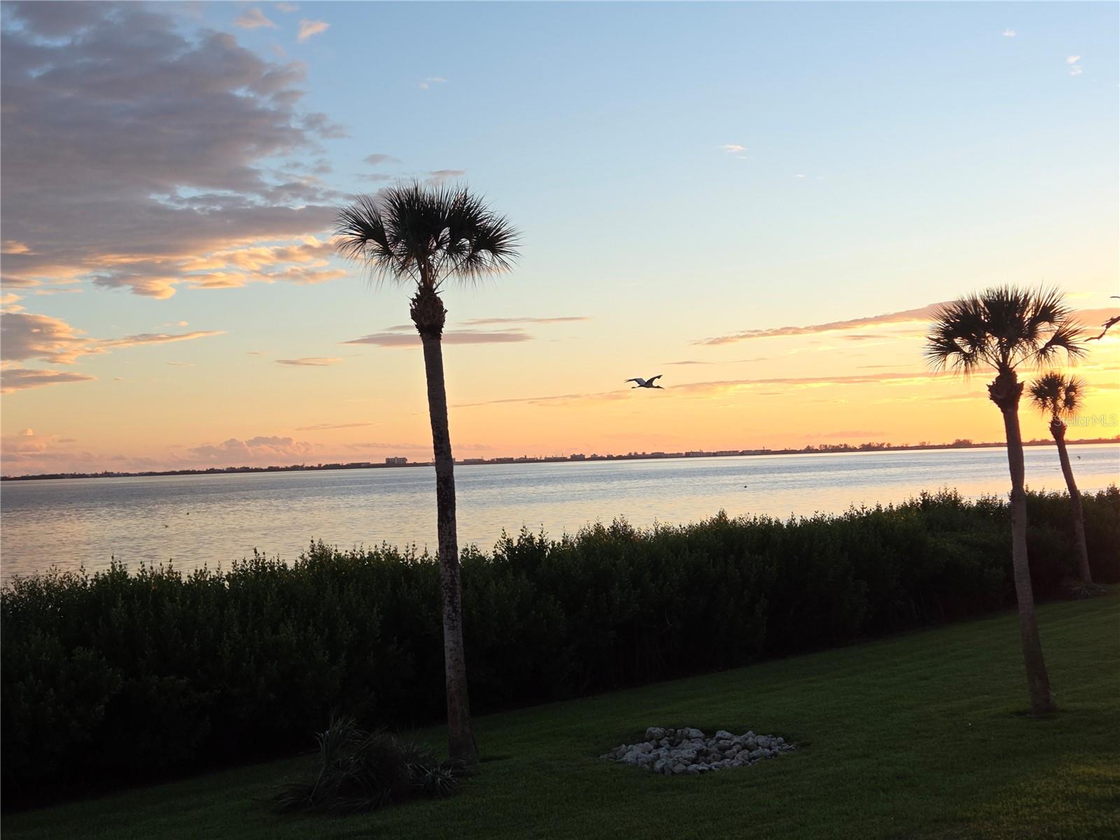 BAYSIDE TERRACES AT WILD OAK BAY III-V - Residential