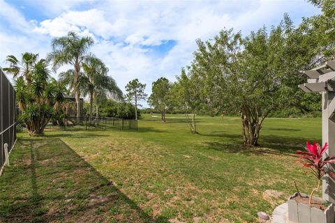 A home in RIVERVIEW