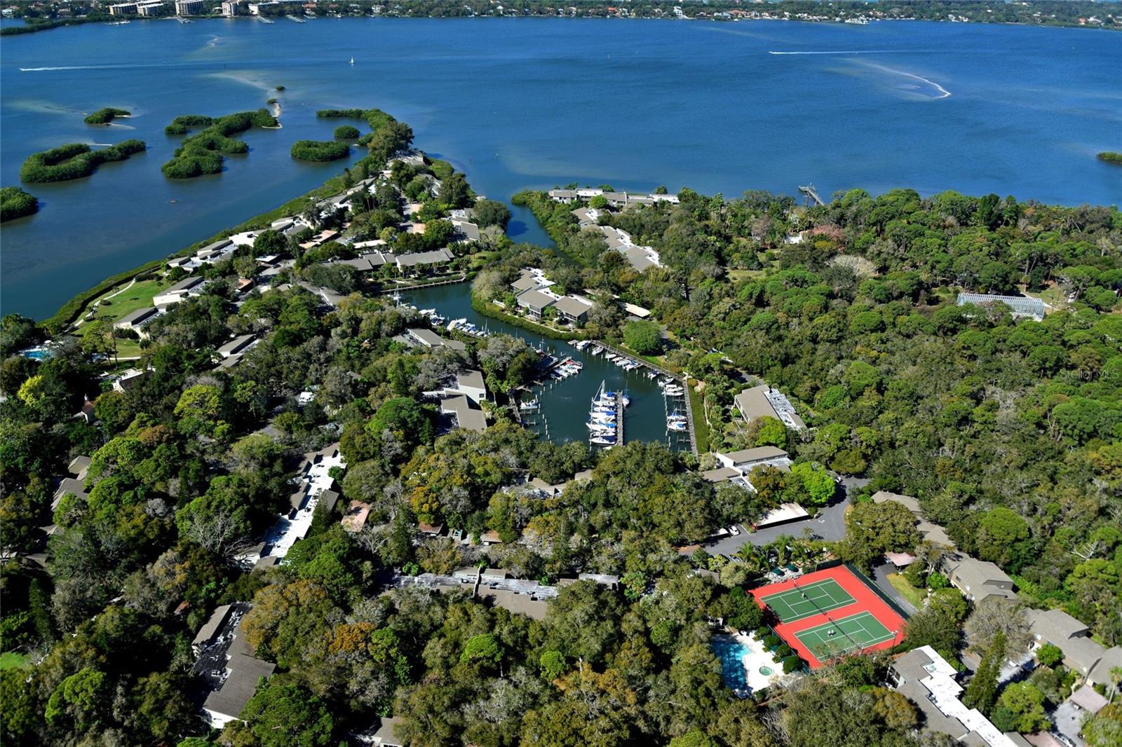 PELICAN COVE XIII - Residential Lease