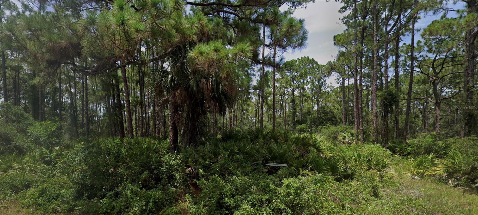 13124 WOOLARD AVENUE