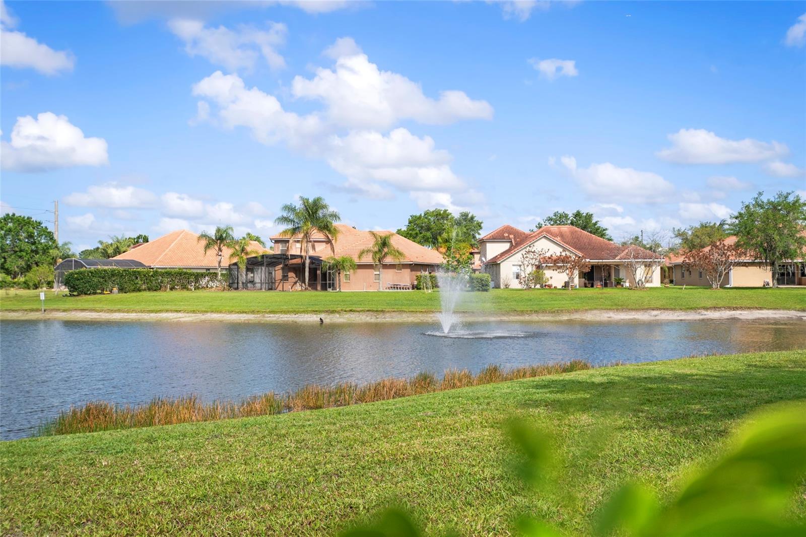 FOUNTAINS/RIO PINAR - Residential