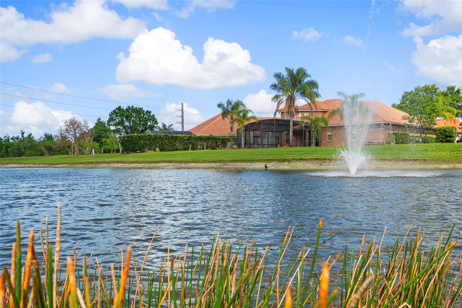 FOUNTAINS/RIO PINAR - Residential