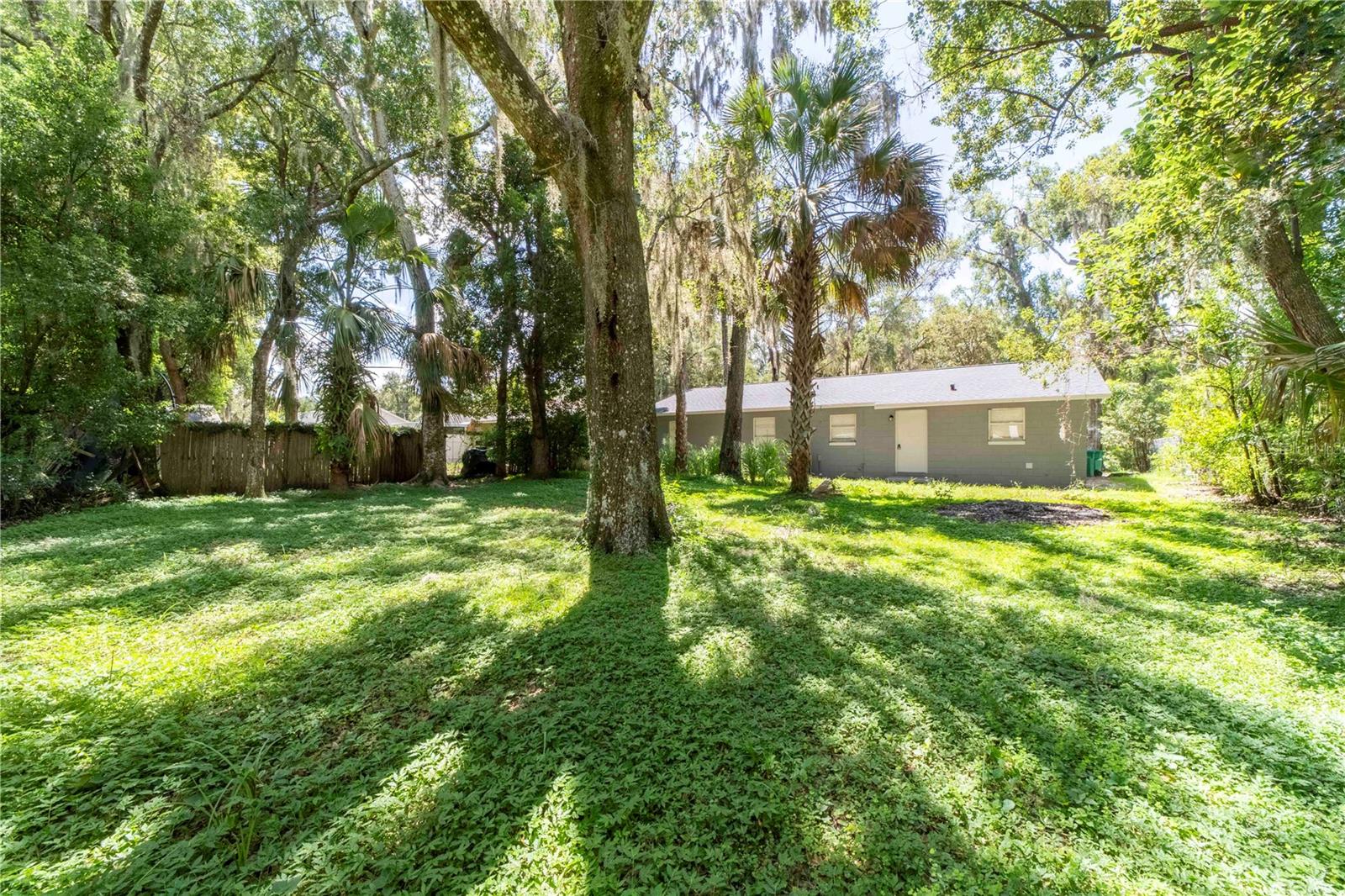 MOUNT DORA - Residential