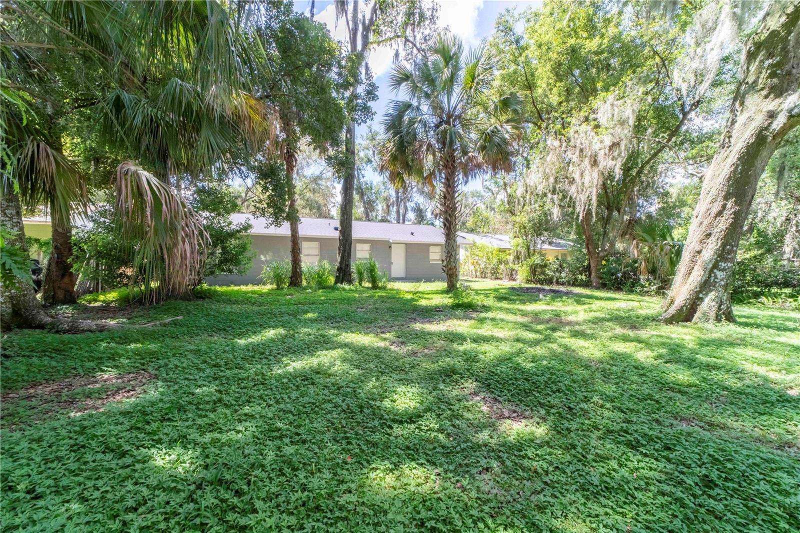 MOUNT DORA - Residential