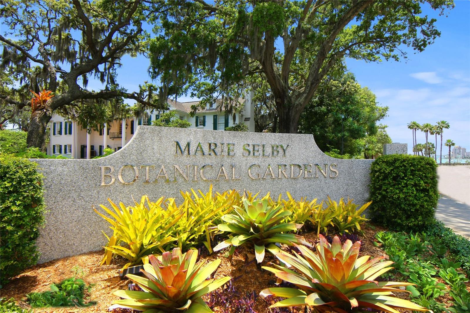 SARASOTA BEACH - Residential