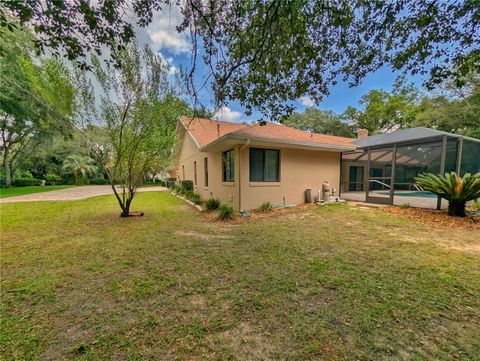 Tiny photo for 4023 N Ringwood Circle, Hernando, FL 34442 (MLS # OM725760)
