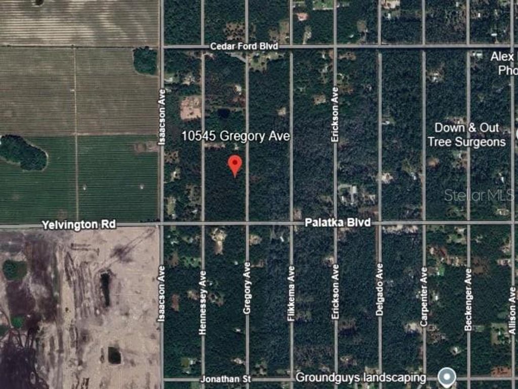 Photo of 10545 Gregory Avenue, Hastings, FL 32145 (MLS # OM712441)