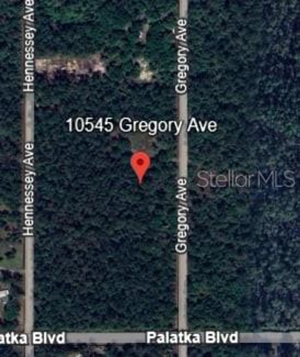 Photo of 10545 Gregory Avenue, Hastings, FL 32145 (MLS # OM712441)