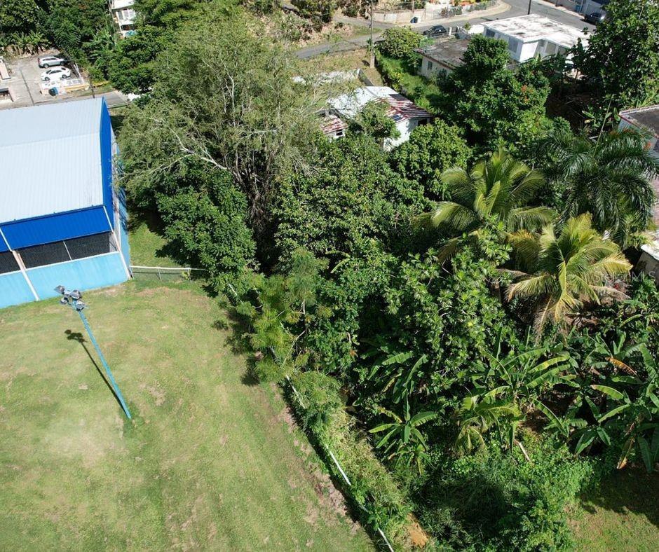 PAR. PINZON 32 - Residential