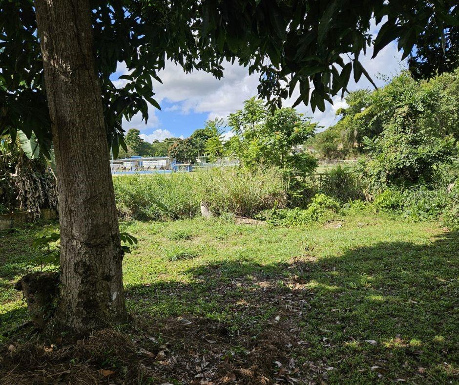 PAR. PINZON 32 - Residential