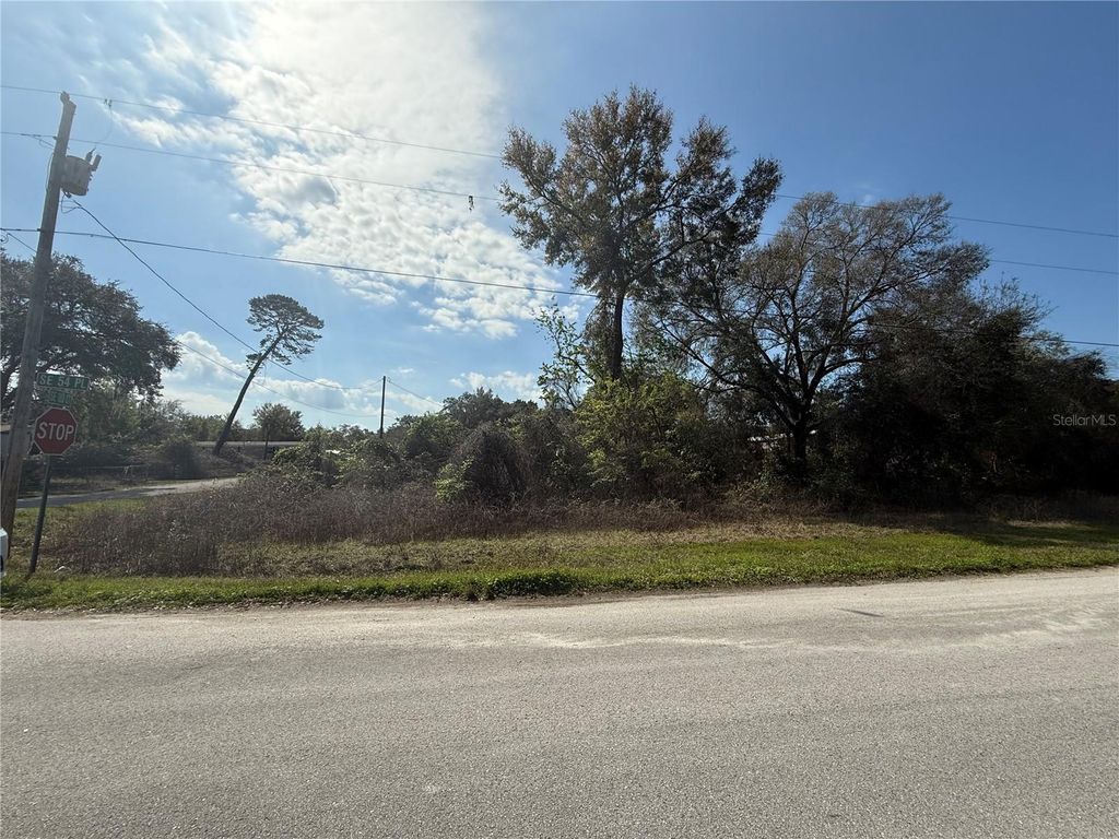 Photo of 5510 SE 183rd Court, Ocklawaha, FL 32179 (MLS # O6368737)