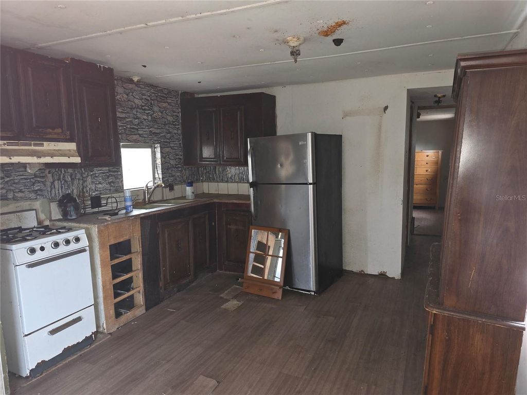 Photo of 45528 Palm Street, Paisley, FL 32767 (MLS # V4946973)