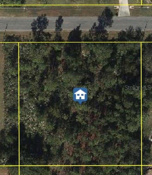 Build your dream home on this exceptional vacant lot in Wedgefield Cape Orlando Estates, one of East Orlando’s most sought-after communities! This expansive lot offers the perfect blend of privacy and natural beauty, nestled among custom-built homes and surrounded by serene Florida landscape. Enjoy the peace and space of country living with convenient access to major highways, the Orlando International Airport, Lake Nona Medical City, UCF, and the Space Coast beaches. Whether you’re looking to build now or invest for the future; this is an outstanding opportunity in a rapidly growing area. Don’t miss your chance to own a piece of paradise in Wedgefield!