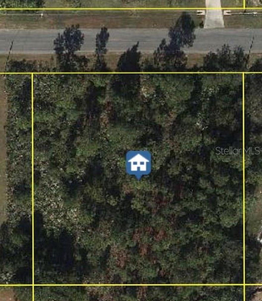 Build your dream home on this exceptional vacant lot in Wedgefield Cape Orlando Estates, one of East Orlando’s most sought-after communities! This expansive lot offers the perfect blend of privacy and natural beauty, nestled among custom-built homes and surrounded by serene Florida landscape. Enjoy the peace and space of country living with convenient access to major highways, the Orlando International Airport, Lake Nona Medical City, UCF, and the Space Coast beaches. Whether you’re looking to build now or invest for the future; this is an outstanding opportunity in a rapidly growing area. Don’t miss your chance to own a piece of paradise in Wedgefield!