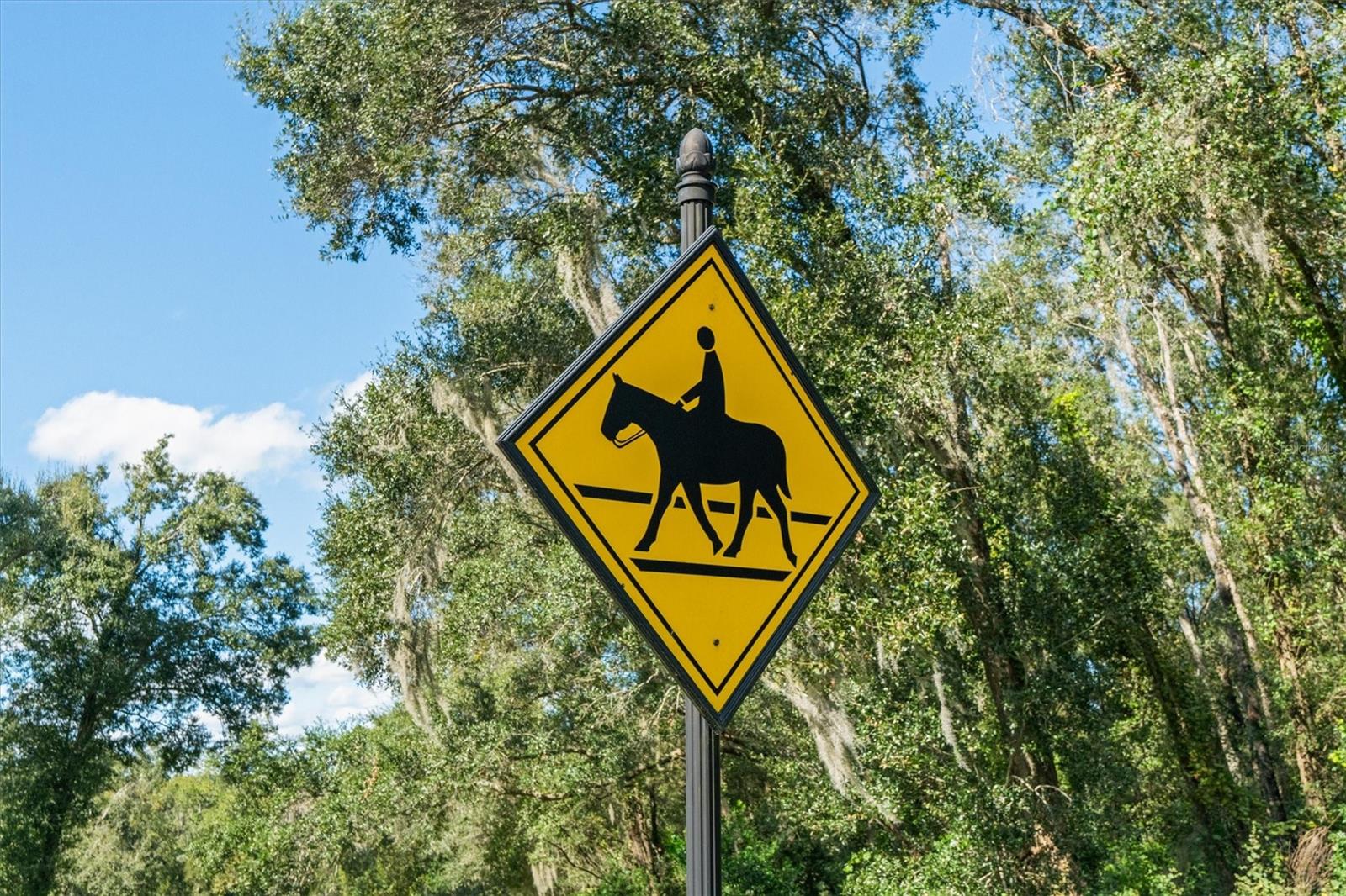 RESERVE AT LAKE SENECA - Residential