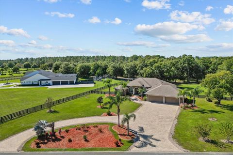 Tiny photo for 35603 Seneca Reserve Drive, Eustis, FL 32736 (MLS # O6356940)
