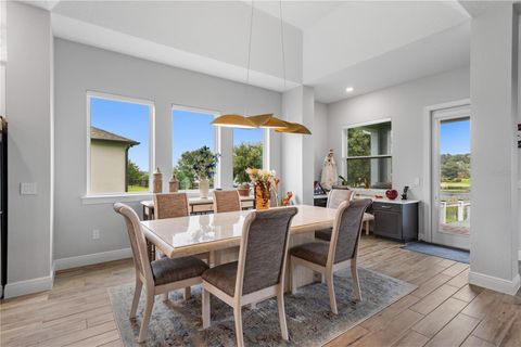 Tiny photo for 17064 Secret Hollow Loop, Clermont, FL 34711 (MLS # O6342733)