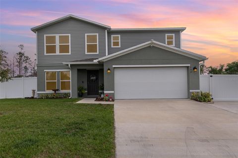 403 RIVER HILL DRIVE WELAKA FL 32193