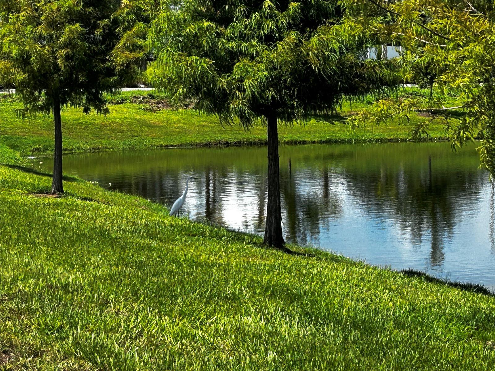 AVALON WOODS PH II - Residential Lease