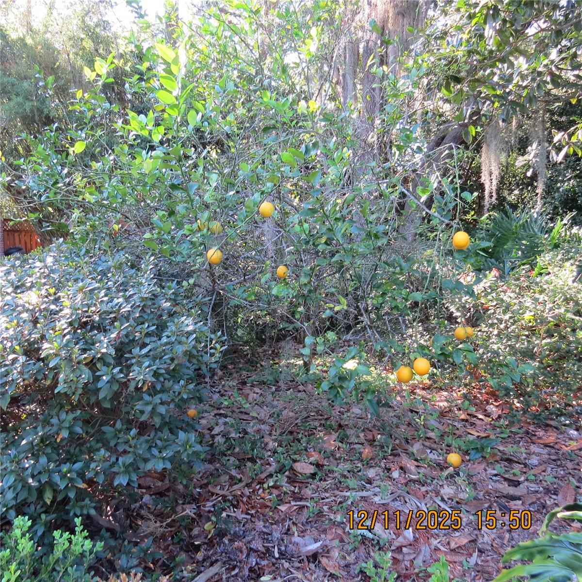 THE VALLEY - Residential